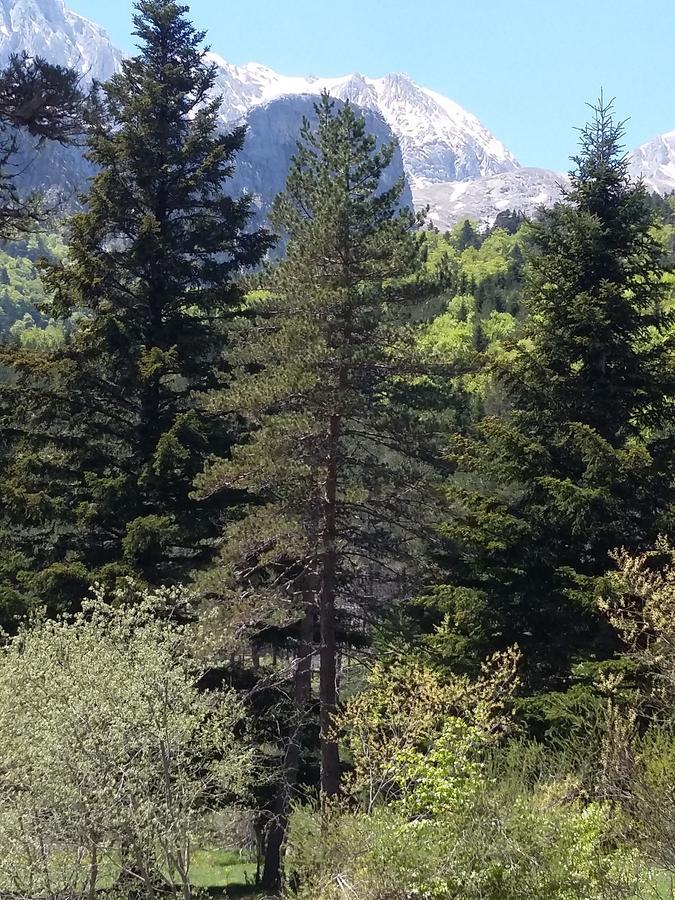 Hospederia Prepirineo Otel Undués-Pintano Dış mekan fotoğraf