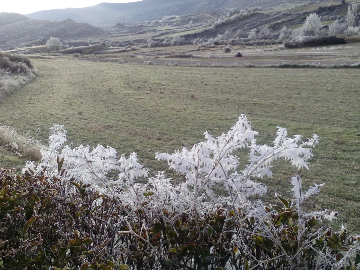 Hospederia Prepirineo Otel Undués-Pintano Dış mekan fotoğraf